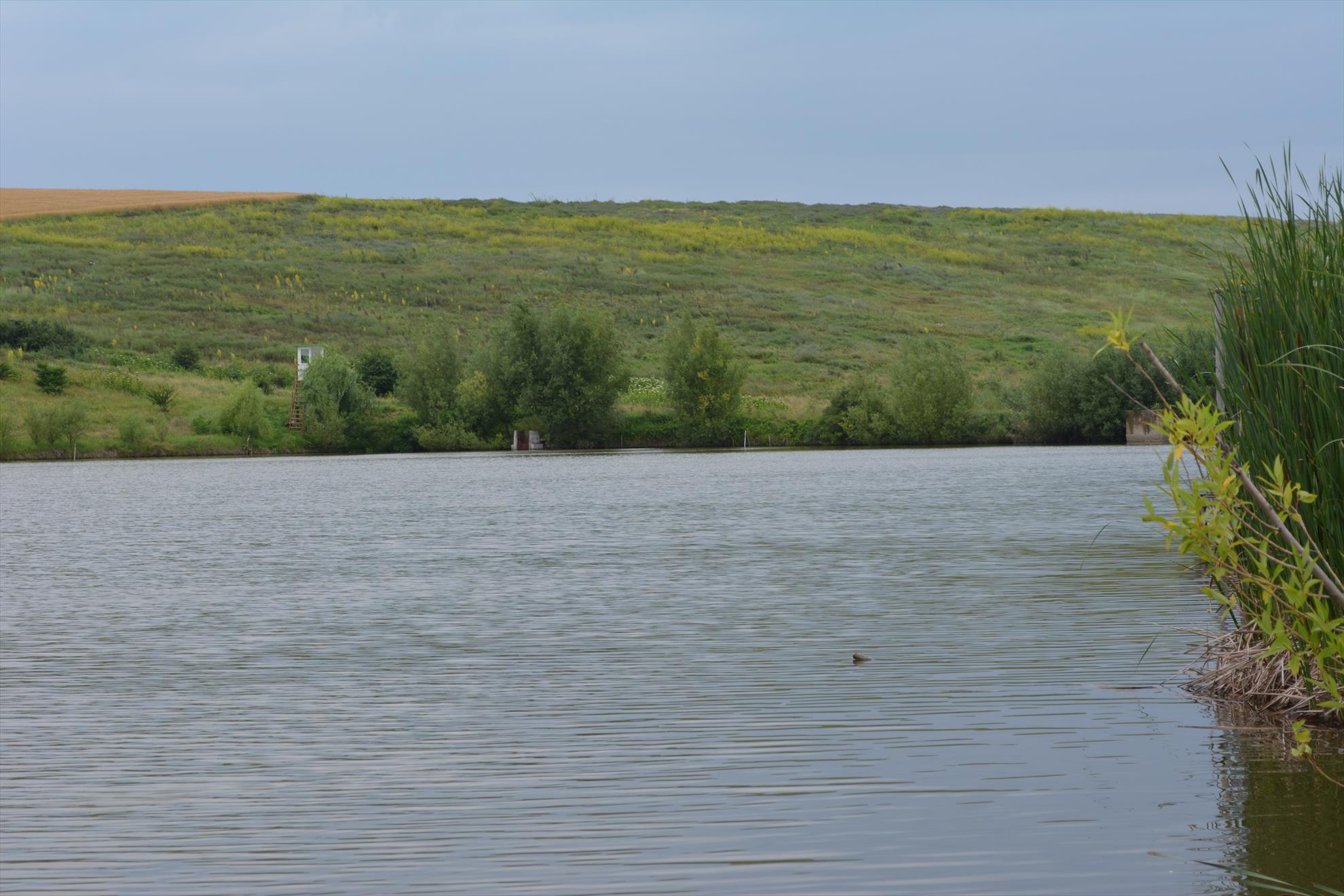 Magura 9 14-15.06.14 - dsc037911.JPG